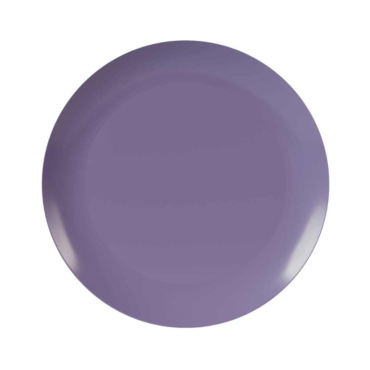 10" Purple Rose Design Plastic Plates (120 Count)