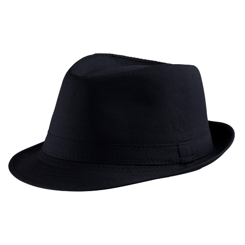 Fedora Hat