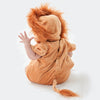 Lion Costume - Babies